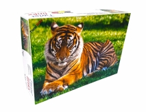 Twistlinkx puzzel - Tiger A5 -  100% Recyclebaar